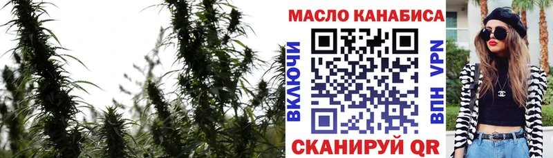 Купить где  Петровск  ТГК концентрат 